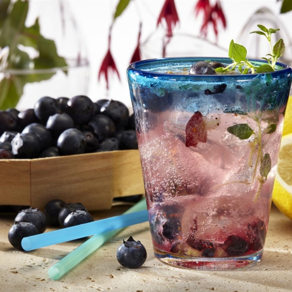 Blueberry Stevia Lemonade