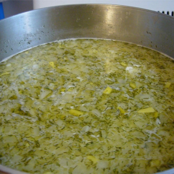 Polish Dill Pickle Soup