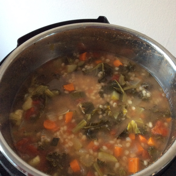 Instant Pot® Vegan Vegetable and Barley Soup