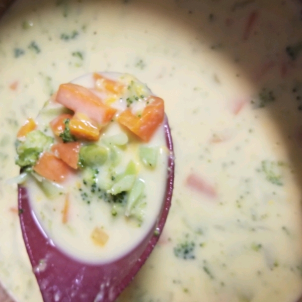 Cheesy Vegetable Soup I