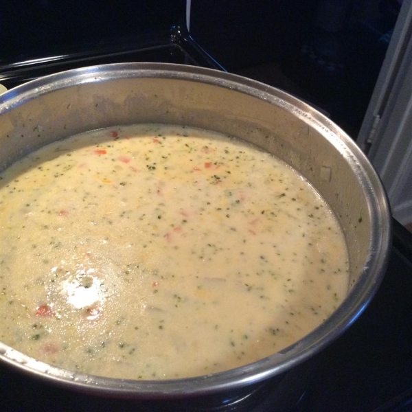 Cheesy Vegetable Soup I