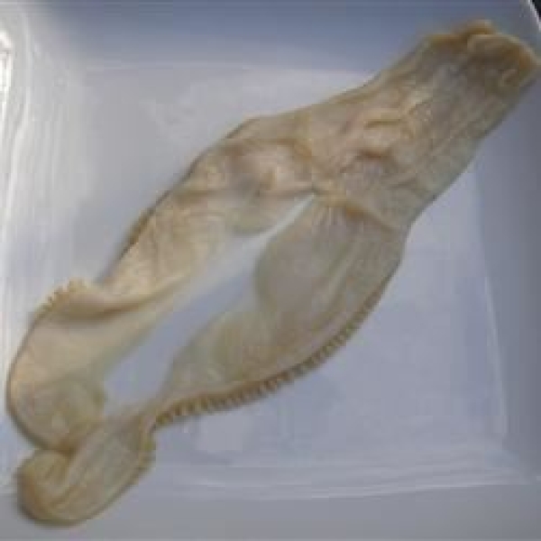 Fried Razor Clams