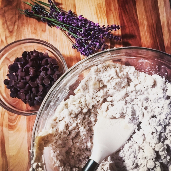 The Best Lavender Sugar Cookies Ever