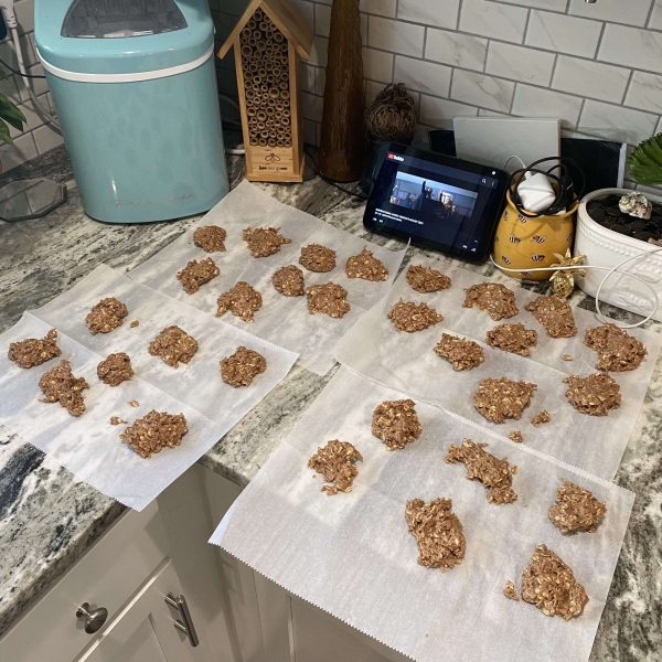 All-Natural No-Bake Cookies