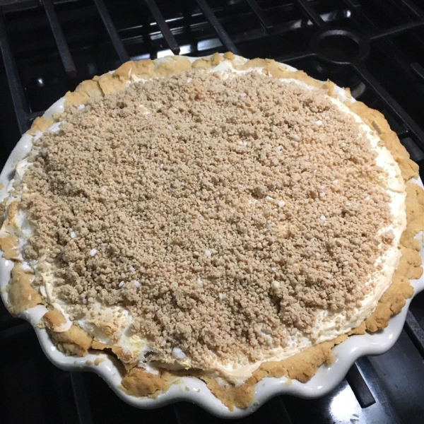 Peanut Butter Pie VIII