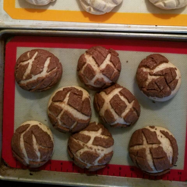 Vanilla and Chocolate Conchas