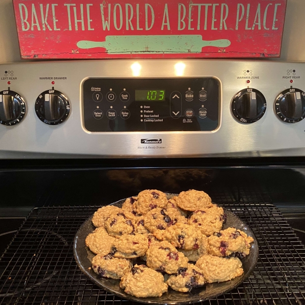 Blueberry Oatmeal Cookies