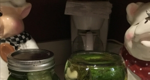 Fermented Kosher-Style Dill Pickles