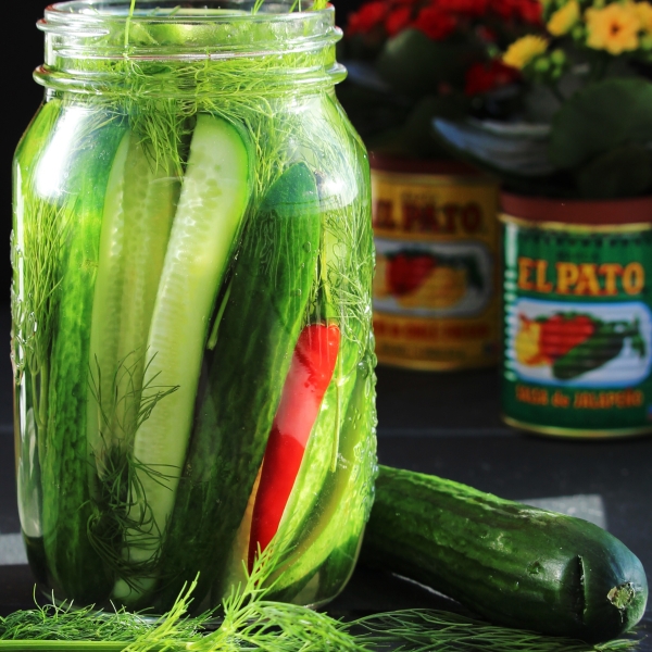 Fermented Kosher-Style Dill Pickles