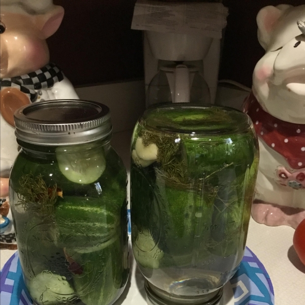 Fermented Kosher-Style Dill Pickles