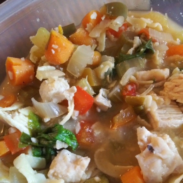 Lloyd's Healthy Chicken Zoopa