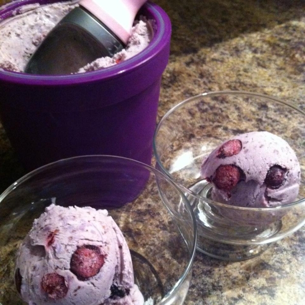 Blueberry Coconut Ice Cream