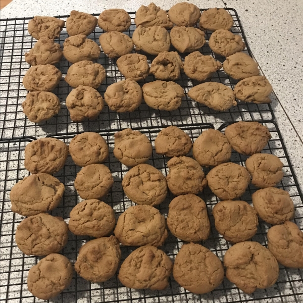 Ginger Snap Cookies