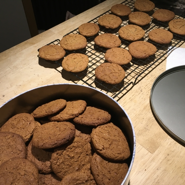 Ginger Snap Cookies