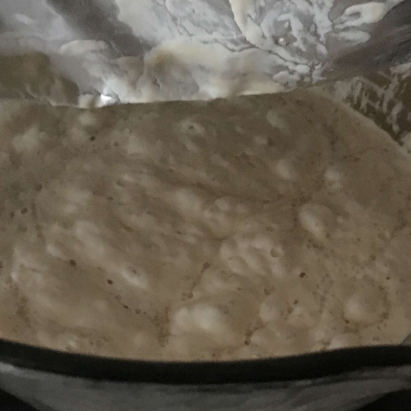 Sourdough Starter