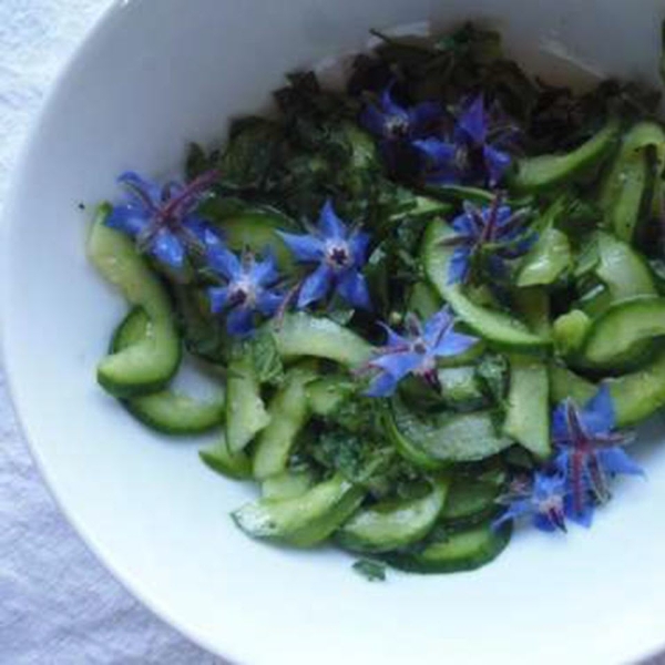 Cucumber Salad with Borage Flowers