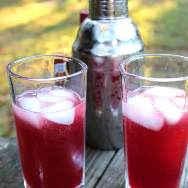 Pomegranate Holiday Cocktail