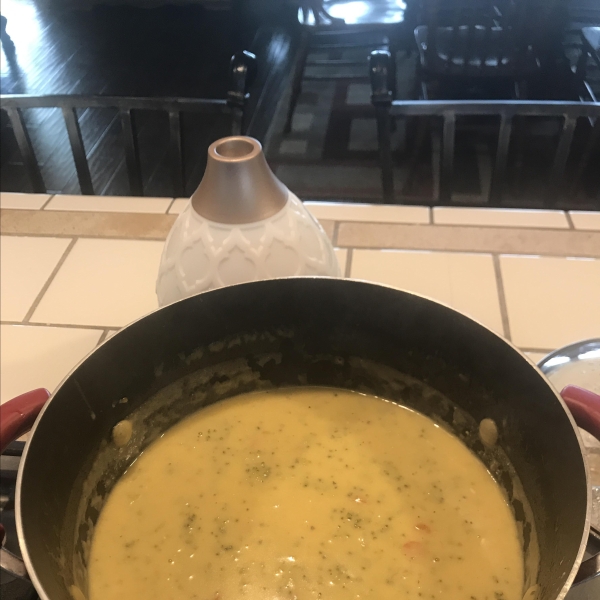 Wisconsin Cheese Soup II