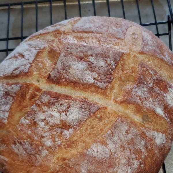 Instant Pot Crusty No-Knead Bread