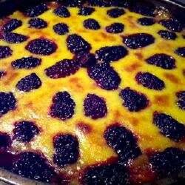 Blackberry-Mango Tart