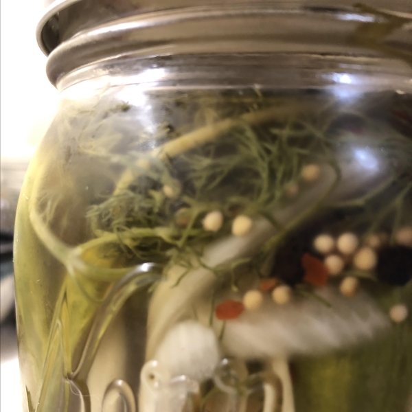 Nothin' Sweet About These Spicy Refrigerator Pickles