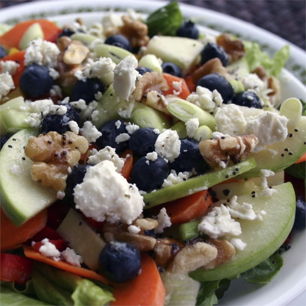 Rainbow Salad with Lemon Poppyseed Dressing