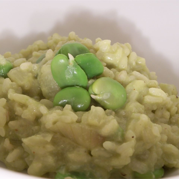 Green Risotto with Fava Beans