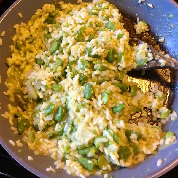 Green Risotto with Fava Beans