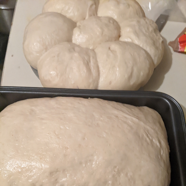 Quick Yeast Rolls