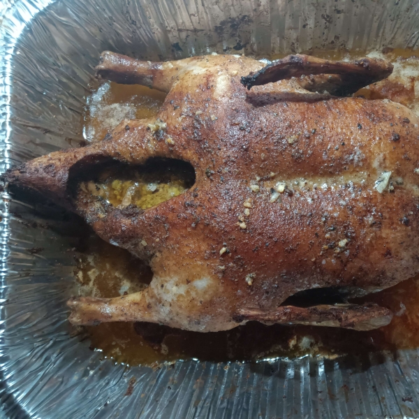 Roasted Duck