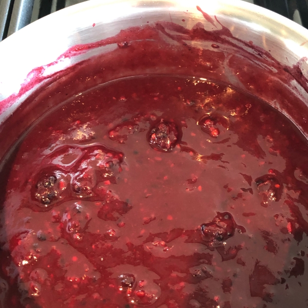 Low Carb Blackberry BBQ Sauce