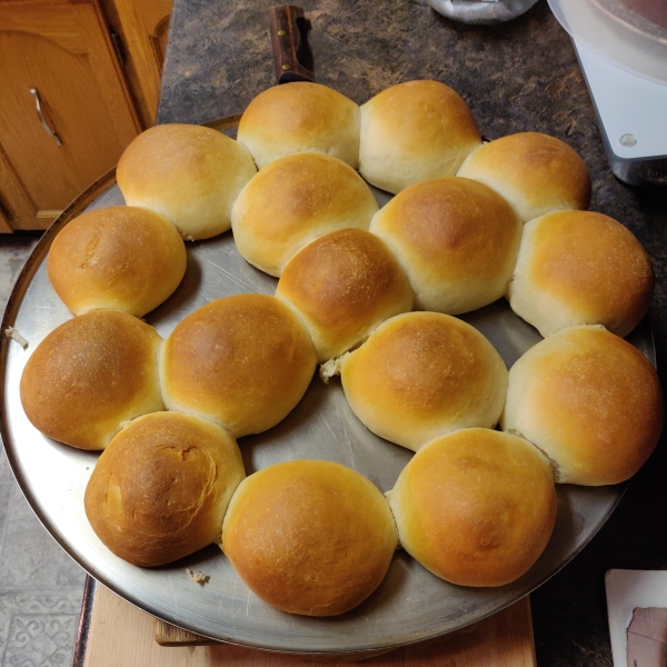 Tasty Buns