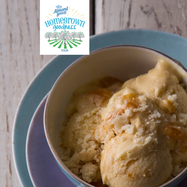 Georgia Peach Ice Cream Alternative with Cobbler Crumble