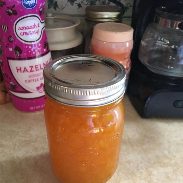 Dried Apricot Jam