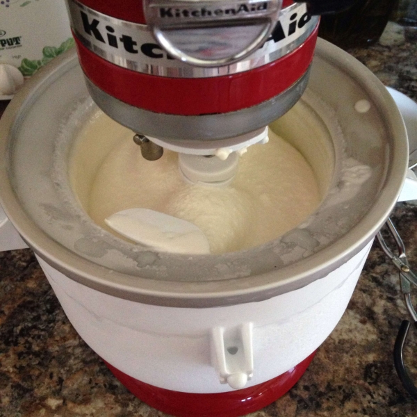 Easy Homemade Vanilla Ice Cream