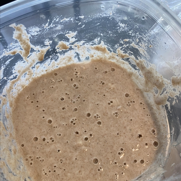 Chef John's Sourdough Starter