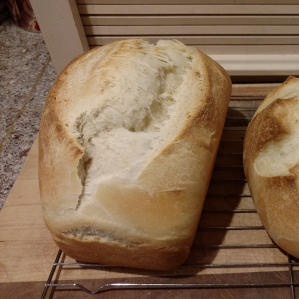 Chef John's Sourdough Starter