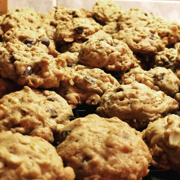 Oatmeal Peanut Butter and Chocolate Chip Cookies