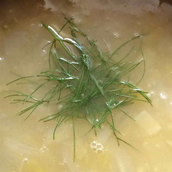 Leek and Fennel Soup