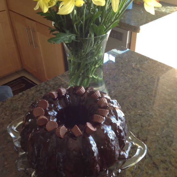 Chocolate Peanut Butter Marble Cake