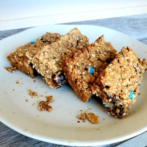 Homemade Energy Bars