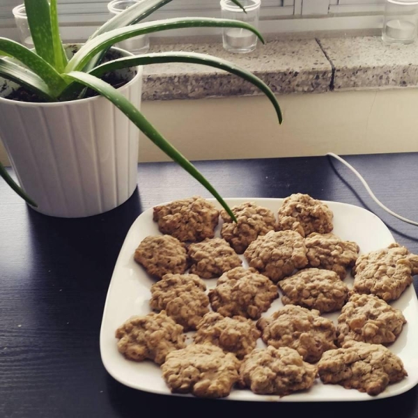 Low Sugar Oatmeal Raisin Cookie