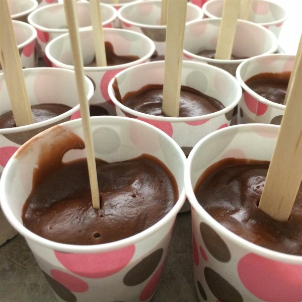 Chocolate Fudge Pops