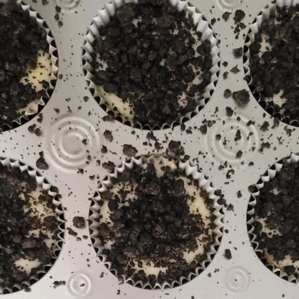 Oreo® Mini Cheesecakes