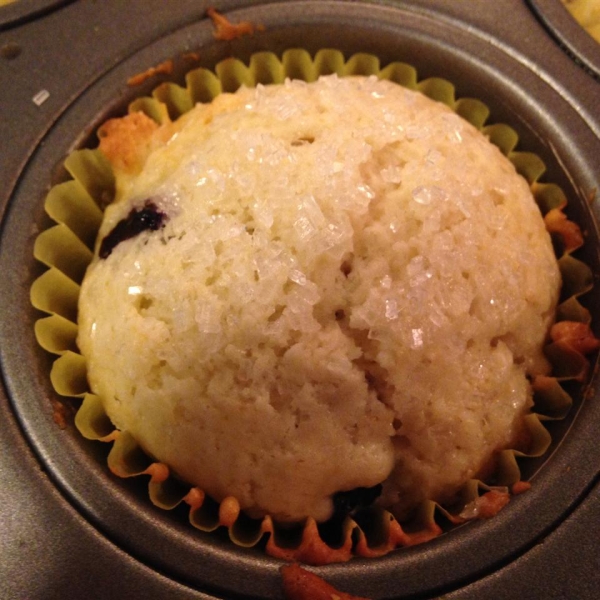 Low-Cholesterol Blueberry Muffins II