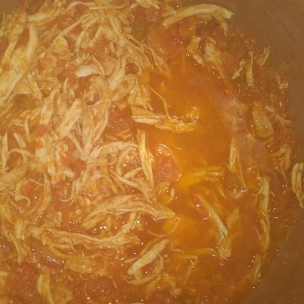 Salsa Chicken Burrito Filling