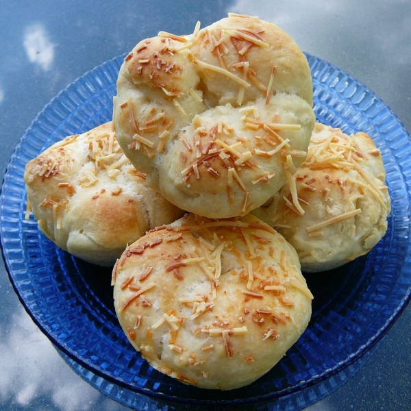 Parmesan Crusted Dinner Rolls