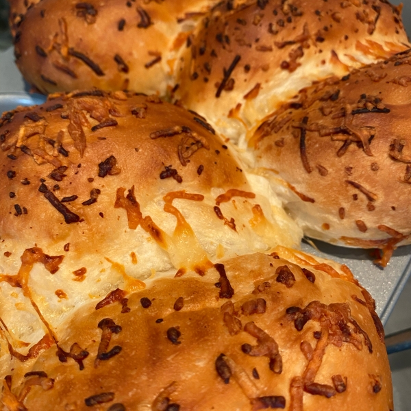 Parmesan Crusted Dinner Rolls