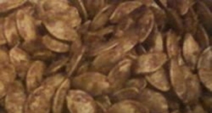 Cinnamon and Ginger Caramelized Pumpkin Seeds