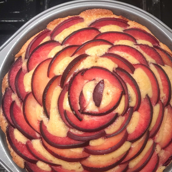 Plum Cakey Tart
